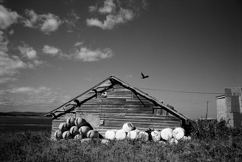 Abandoned Shed